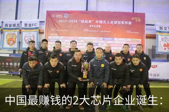 中国最赚钱的2大芯片企业诞生：创造历史！全年利润要超4000亿？
