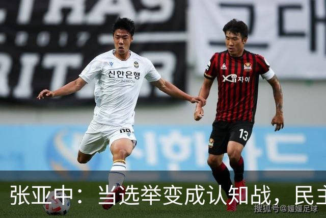 张亚中：当选举变成认知战，民主还有意义吗